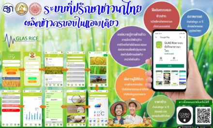 กรมการข้าว ซุ่มพัฒนาแอพพลิเคชั่น “ระบบที่ปรึกษาชาวนาไทย”  ช่วยชาวนาบริหารจัดการข้าวอย่างครบวงจรด้วยตัวเอง