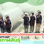 เครือข่ายวิสาหกิจชุมชน “นวัตกรรมเกษตรอินทรีย์ยั่งยืน” กาฬสินธุ์