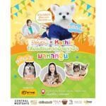 เตรียมตัวมางานเฮฮากับน้องกฐิน Fan Meet ฉลองครบ 1 แสน Followers
