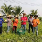 สยามสตาร์ซีดส์ จับมือ ออลเทค 2020 ยกระดับเกษตกรไทยถ่ายทอดเทคโนโลยี IOT