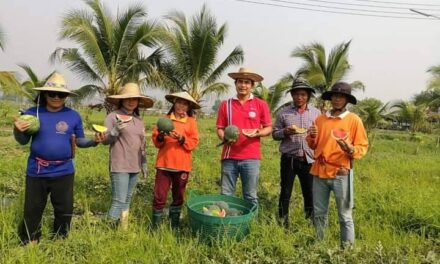 สยามสตาร์ซีดส์ จับมือ ออลเทค 2020 ยกระดับเกษตกรไทยถ่ายทอดเทคโนโลยี IOT