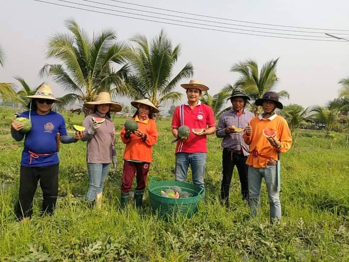 สยามสตาร์ซีดส์ จับมือ ออลเทค 2020 ยกระดับเกษตกรไทยถ่ายทอดเทคโนโลยี IOT