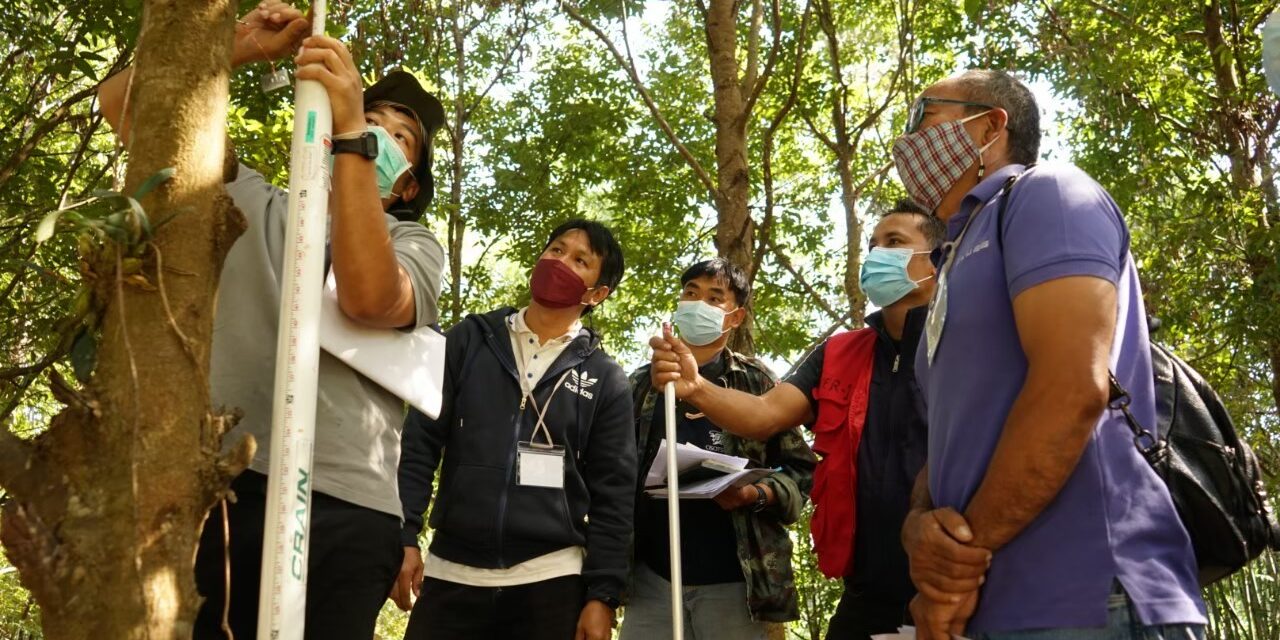 มูลนิธิแม่ฟ้าหลวงฯ ย้ำ ปลูกป่า ปลูกคน ทางออกประเทศไทย