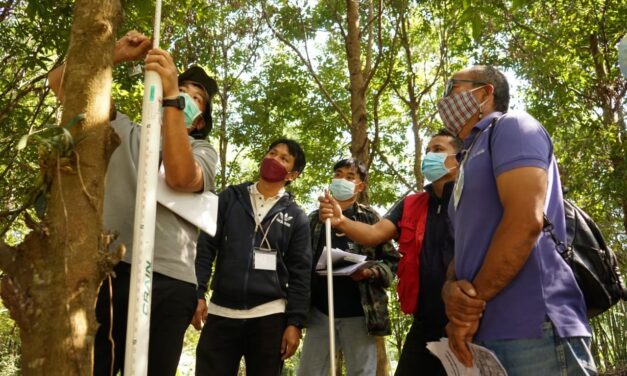 มูลนิธิแม่ฟ้าหลวงฯ ย้ำ ปลูกป่า ปลูกคน ทางออกประเทศไทย