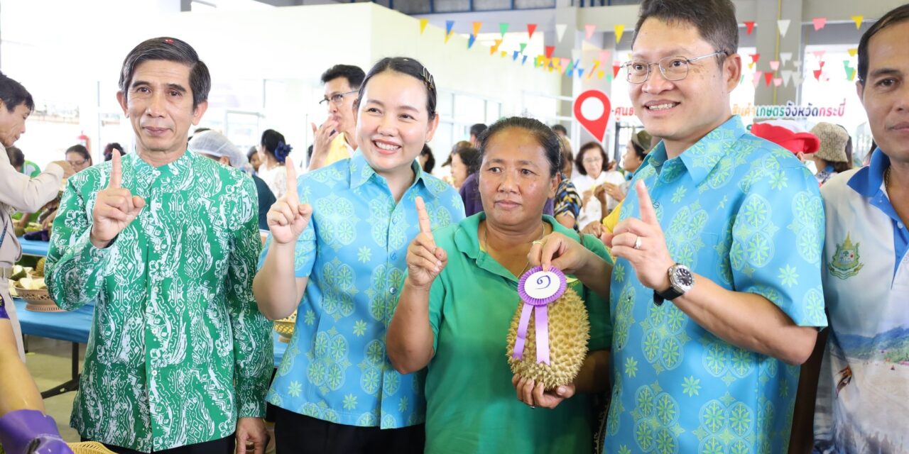 กระบี่ จัดประกวดทุเรียนพื้นเมือง ส่งเสริมอนุรักษ์ การปลูกทุเรียนพื้นเมือง