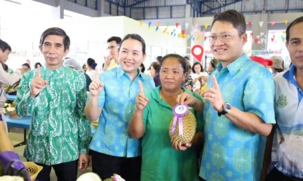 กระบี่ จัดประกวดทุเรียนพื้นเมือง ส่งเสริมอนุรักษ์ การปลูกทุเรียนพื้นเมือง